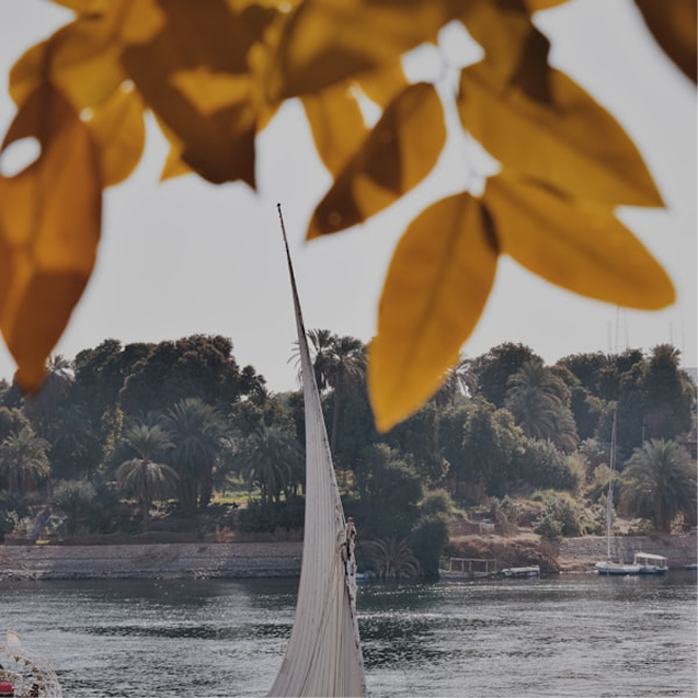 Nile journey moment 1